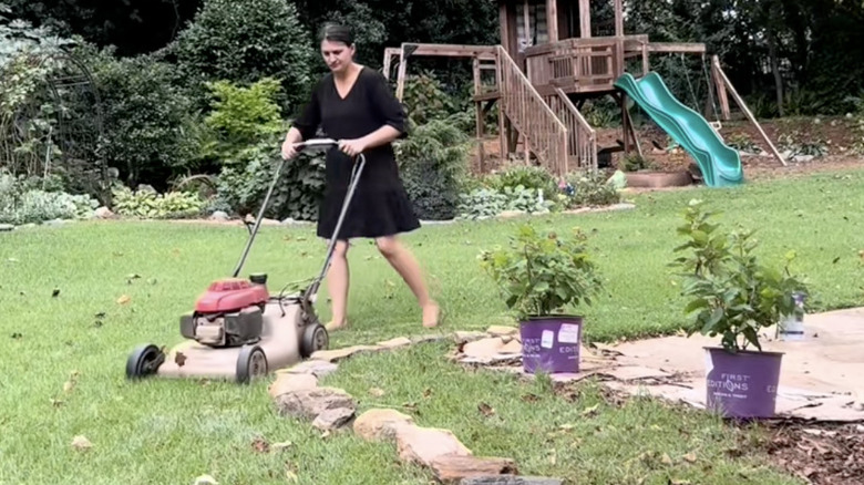 A woman mows the lawn along a temporary garden border made of rocks.