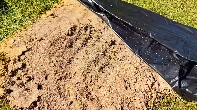 A garbage bag being used to disturb an anthill