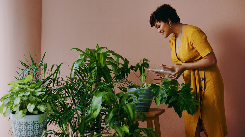 Woman smiling and watering houseplants