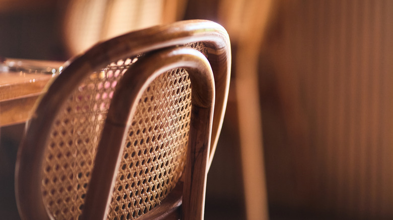 A close-up of the back of a cane chair