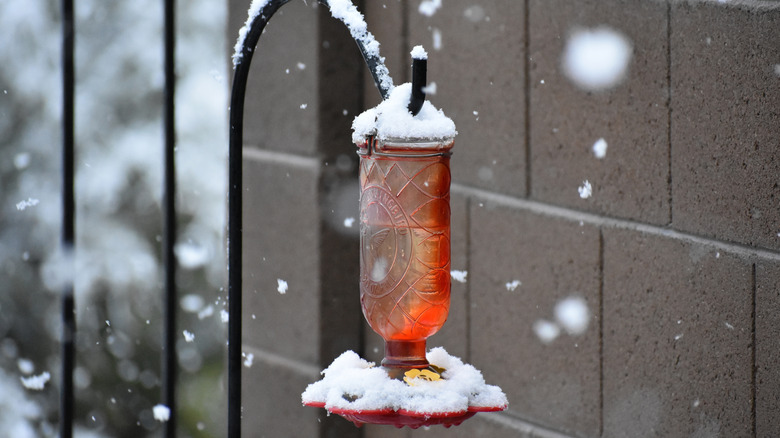 A hummingbird feeder during a snowstorm