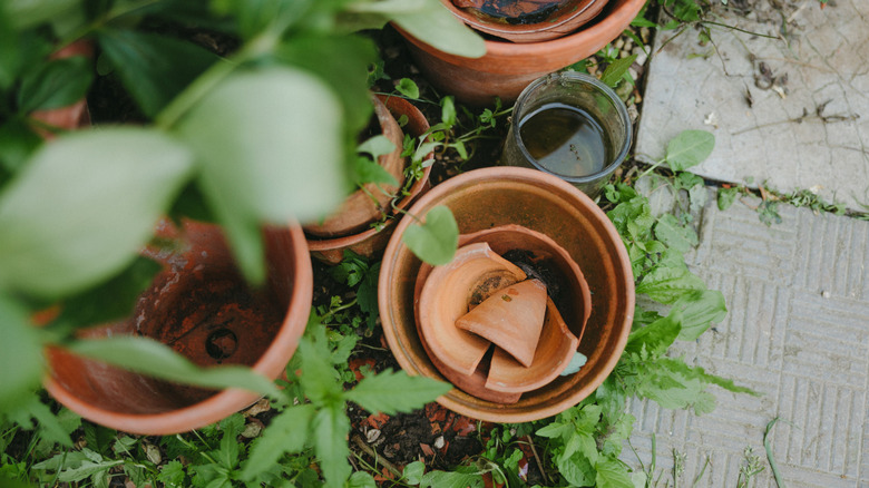 A broken terracotta pot on a patio.