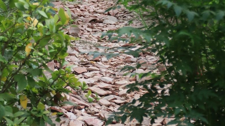 A beautiful garden path made from broken terracotta pieces.