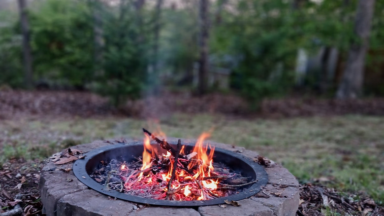 A lit backyard fire pit with a stand of trees in the background.