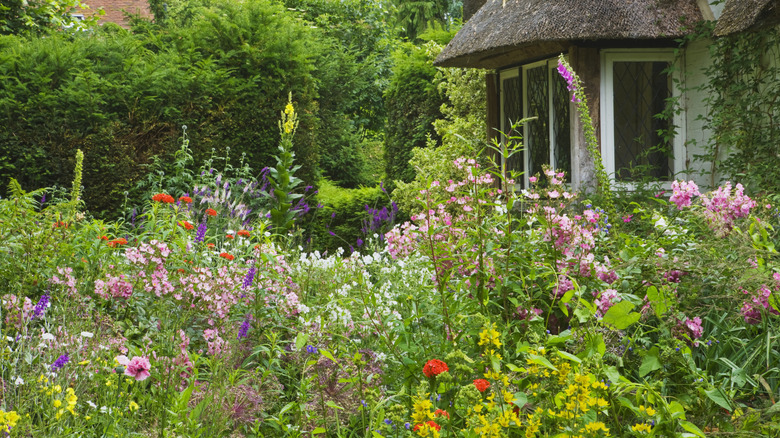 Flower garden outside of home