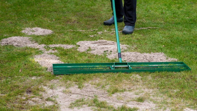 Person using a large rake to put sand on lawn