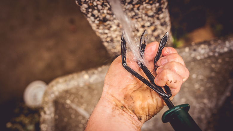 Cleaning dirty gardening tool with water