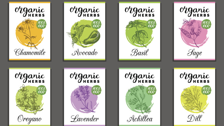 plant labels