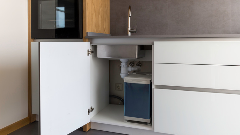 Cabinet open under sink