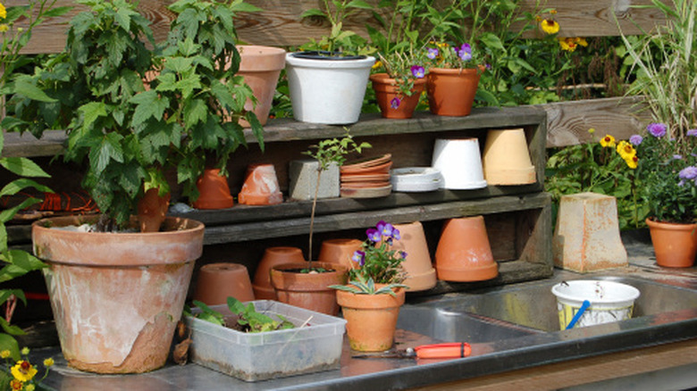 Plants, pots, and tools on a potting bench