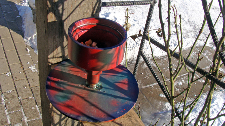 An ashtray that's been transformed into a bird feeder