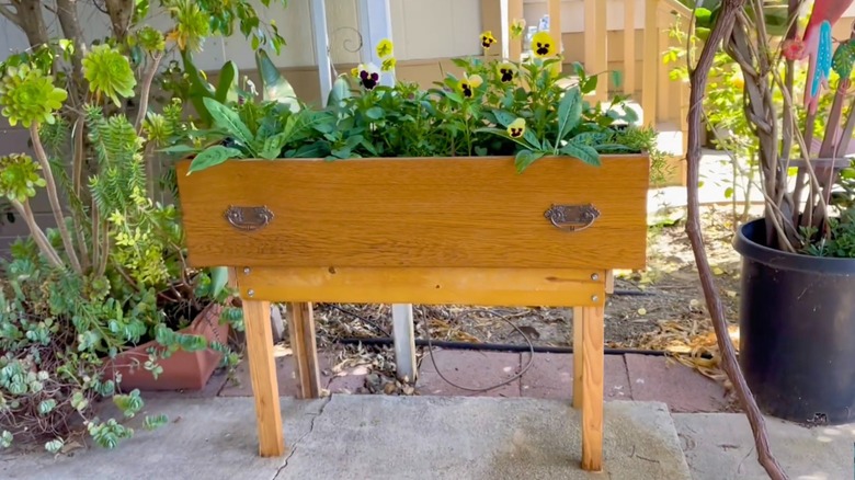 Garden planter on the patio made from an old dresser drawer and scrap wood standing frame.