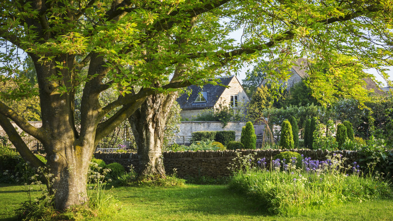 Garden with trees and flowers