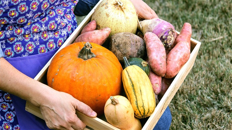 Basket full of fall produce