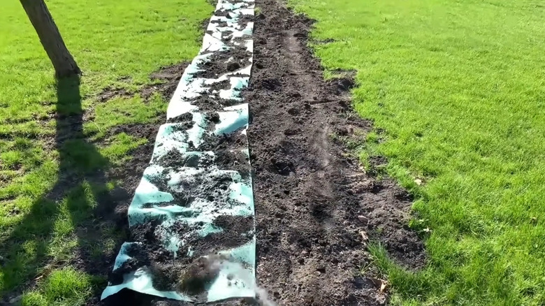 Growtrax lawn mat on soil in yard