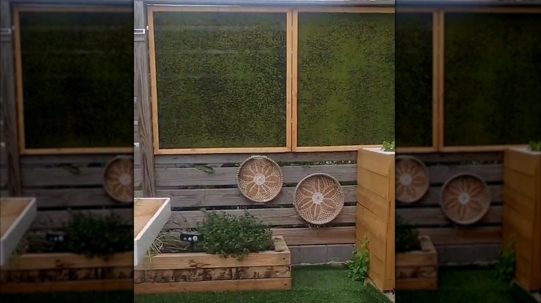 A DIY patio screen made from wood and faux moss.