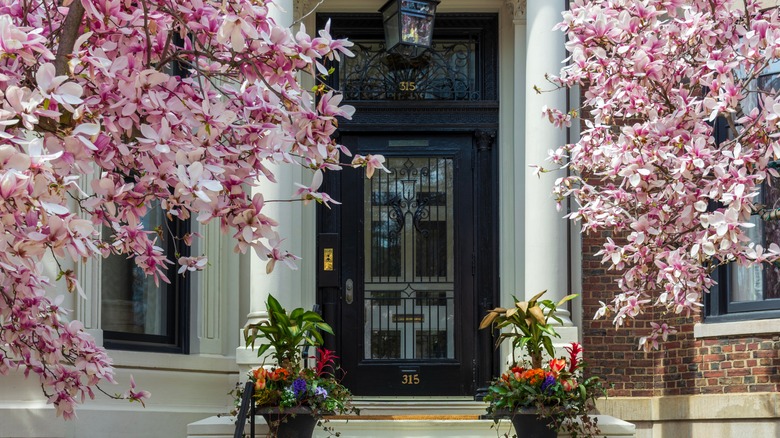 A transom above a wrought iron grille gate with blossoming trees to each side