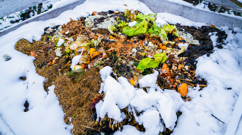 A compost pile covered in white snow