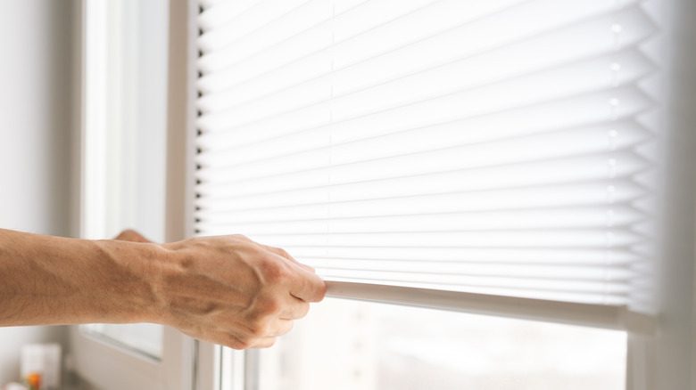 A person's hand opening cellular shades by a window