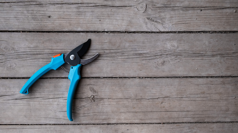 Garden pruners with blue handles on a garden bench