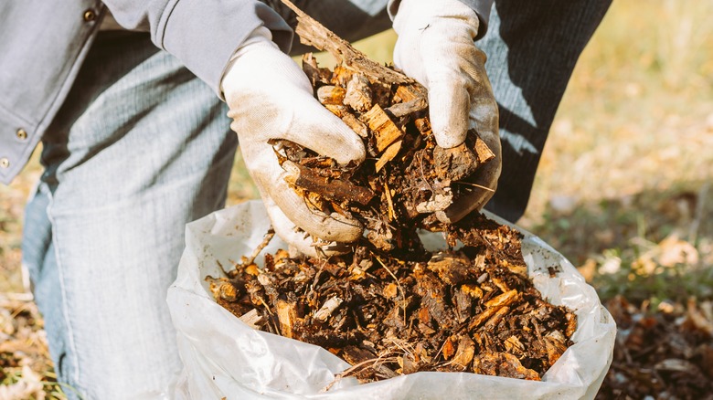 Person holding mulch