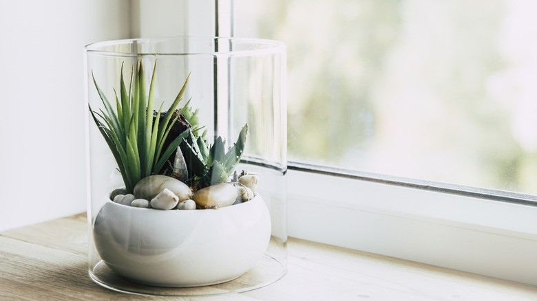 Don't Store Glassware On A Windowsill - It Can Be A Major Fire Hazard