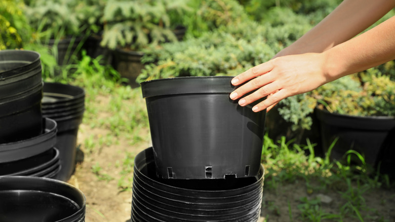 Woman with stacks of nursery pots.