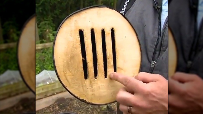 A light-skinned hand points toward the openings in a DIY butterfly house.