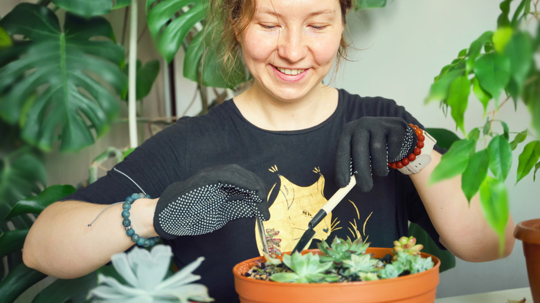 A smiling woman plants succulents in old potting soil inside an orange plastic planter.