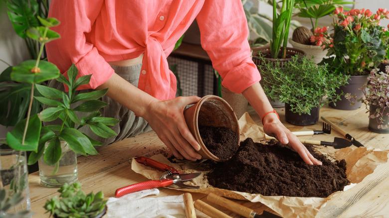 A woman pours old potting soil out of a pot and onto a piece of brown paper on a desk filled with potted plants.