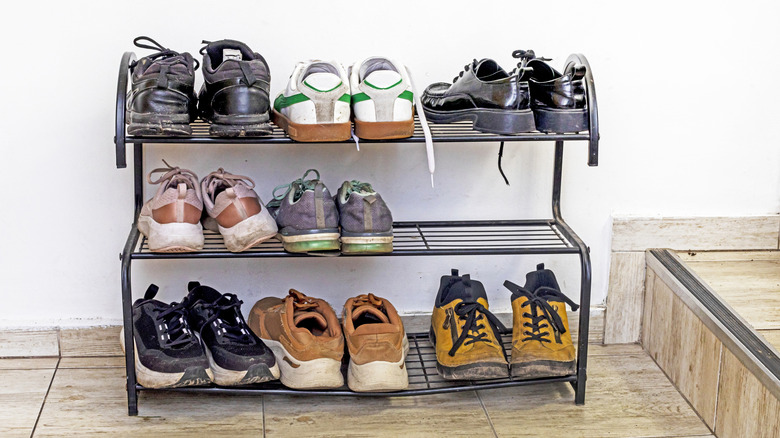 Black shoe rack lined with footwear