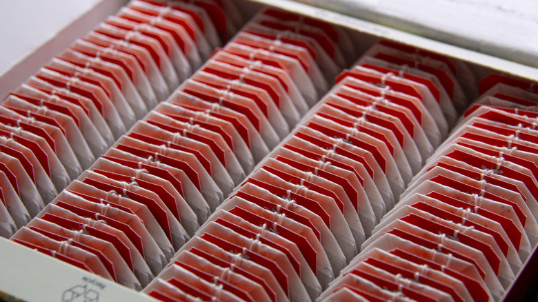 cardboard box with organized tea packets