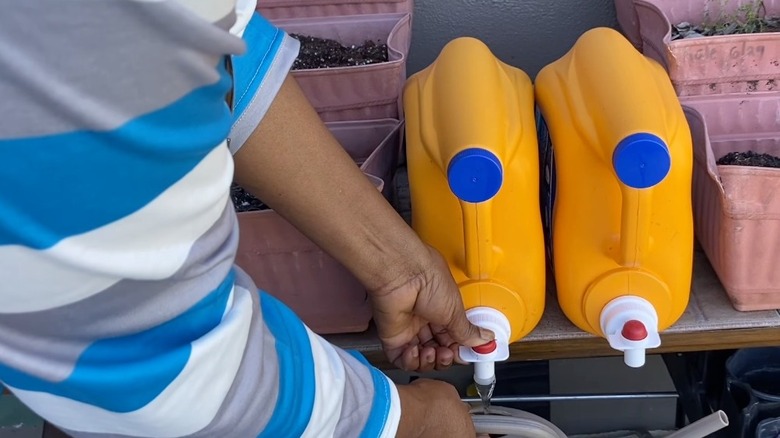 Detergent bottle watering station