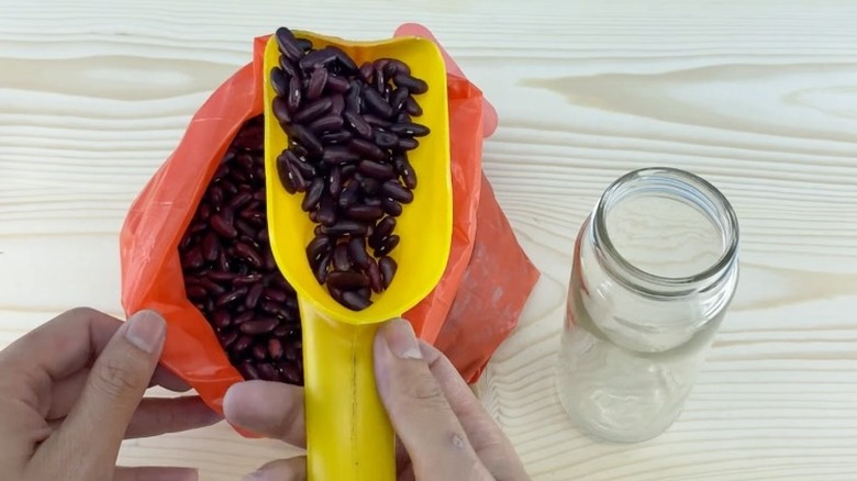 Scoop made from detergent jug with beans