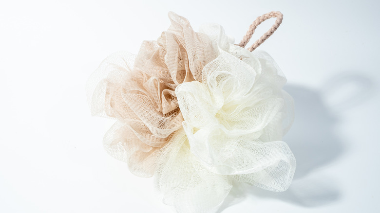 Loofah for shower
