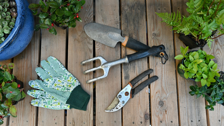 Handheld gardening tools