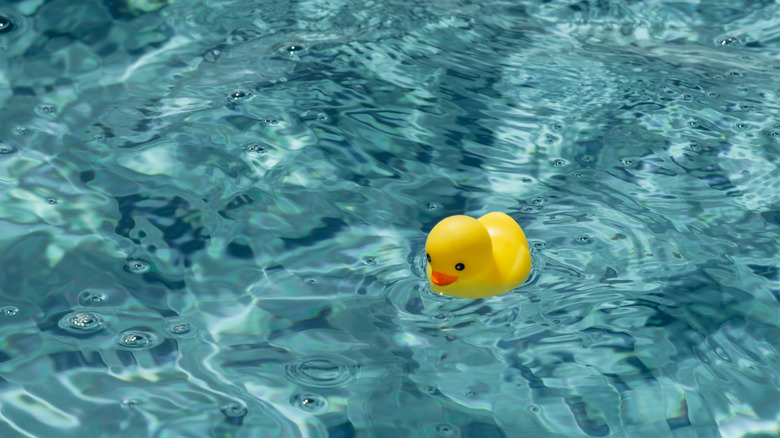 Rubber ducky floating in pool