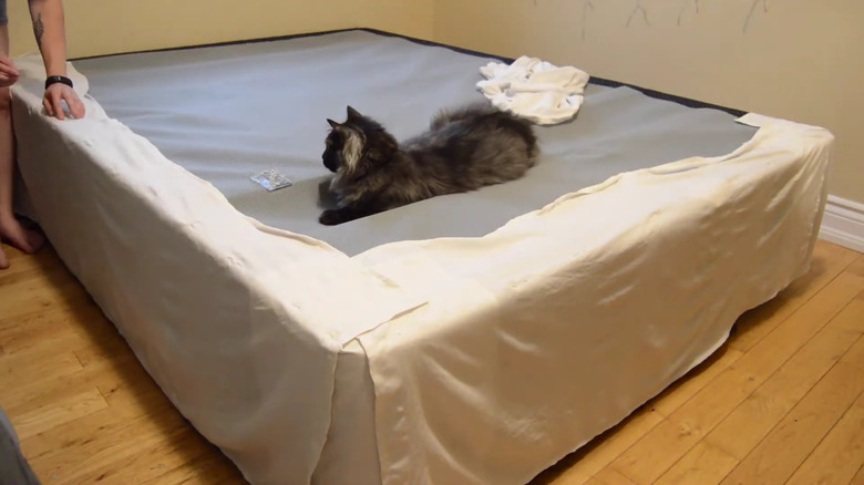 Cat sits on a bed while a person makes a bed skirt from old sheets
