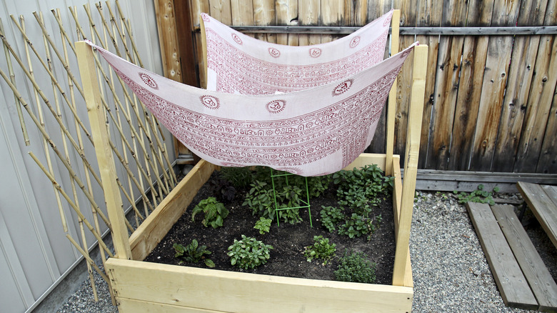 Canopy from fabric in garden