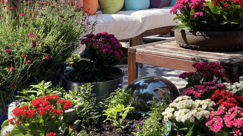 Couch cover on patio garden