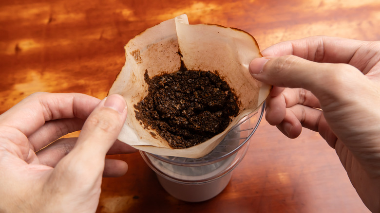 Old coffee grounds