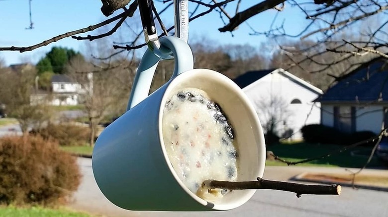 A coffee mug bird feeder hanging from a tree branch