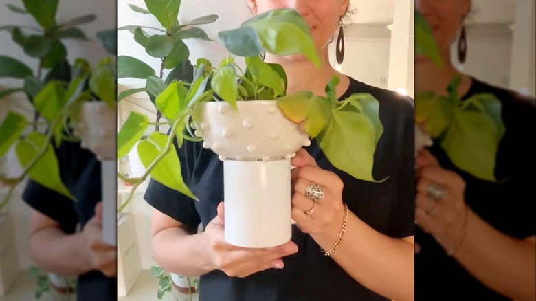 Coffee cup under planter to catch runaway