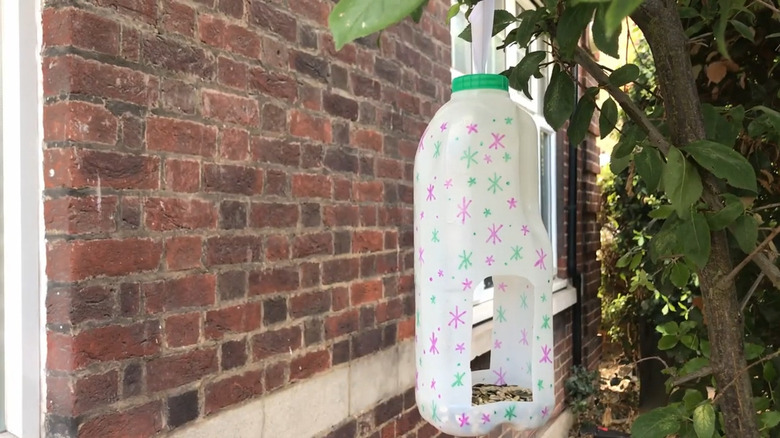 Plastic milk jug turned into a star-covered bird feeder hanging on a branch