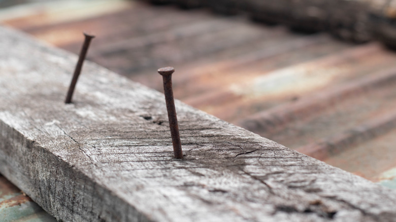 An aged piece of wood with rusted nails in it