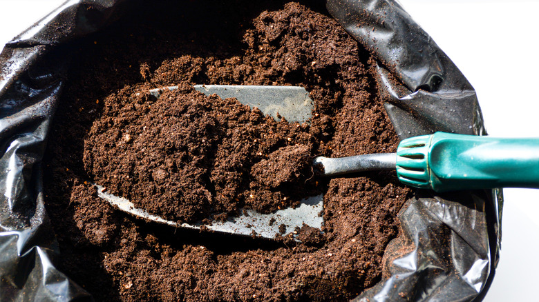 A garden trowel filled with old potting soil sitting in a bag.