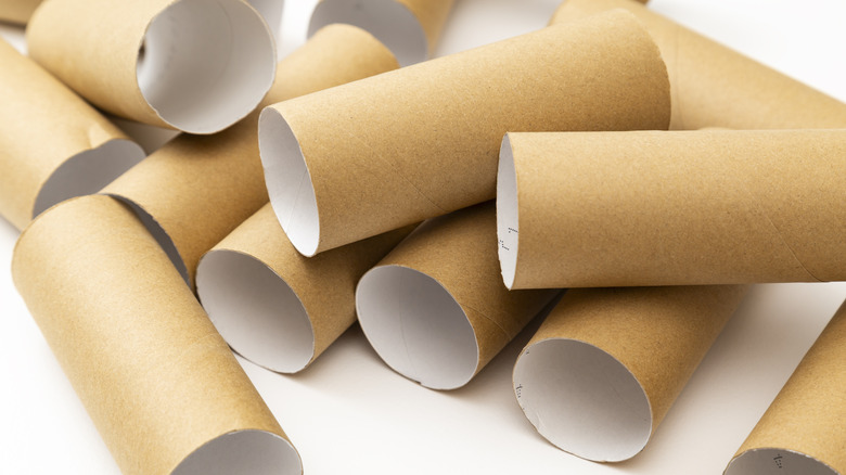 Empty toilet paper rolls