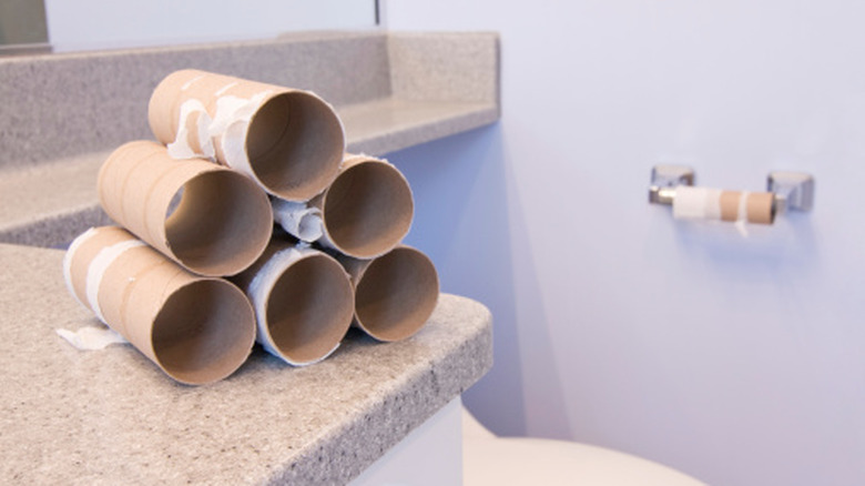 A stack of empty toilet paper rolls