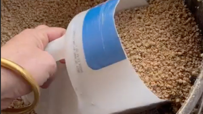 someone holding a cut jug to scoop livestock feed