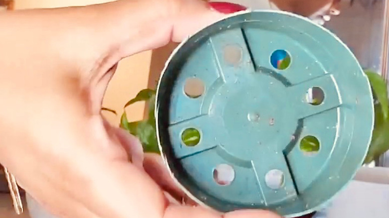 A hand holds the cut-off base of a green plastic nursery pot.